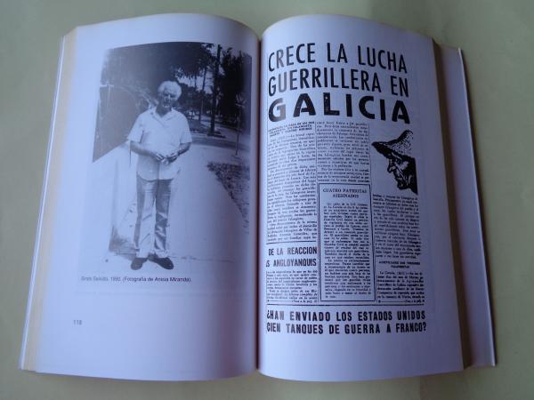 Guerrilleiros (1 ed.)